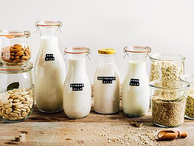 Comment préparer du lait végétal fait maison ?