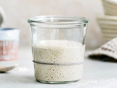 How to make a sourdough starter in 7 days