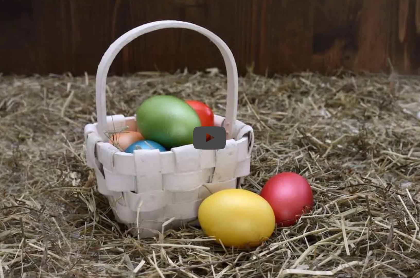 Eier zu Ostern – Die heimlichen Küchenstars