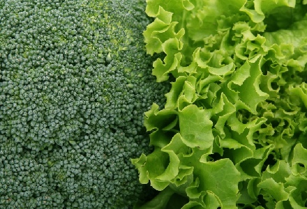 Grünes Gemüse: Das wahre Superfood