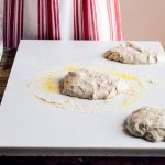 Pizza Dough Recipe – Mini Breadmaker PN100