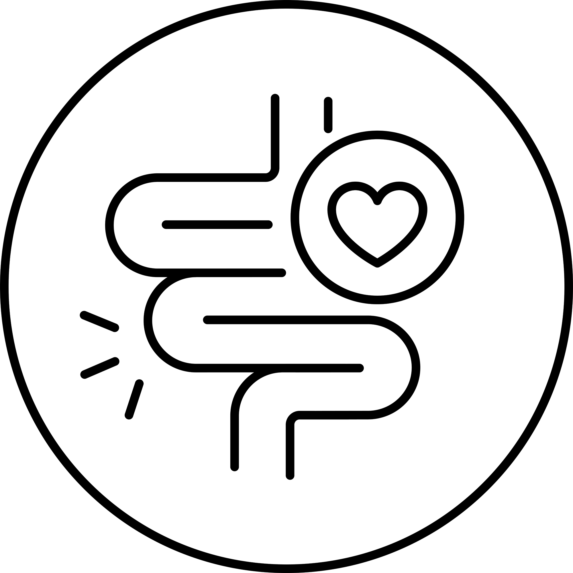 Santé intestinale