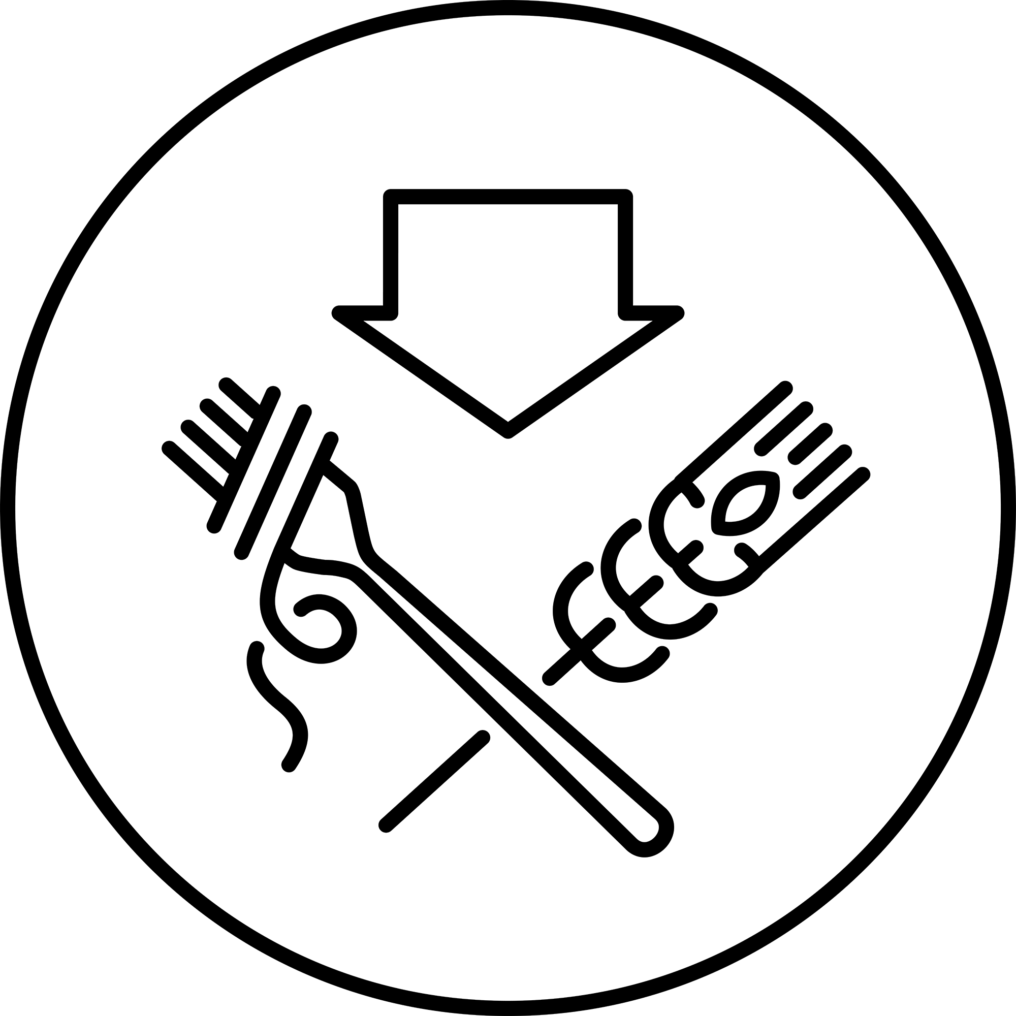 Alacsony szénhidrát